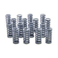 Valve Spring Set for Ford Flathead V8 S734267