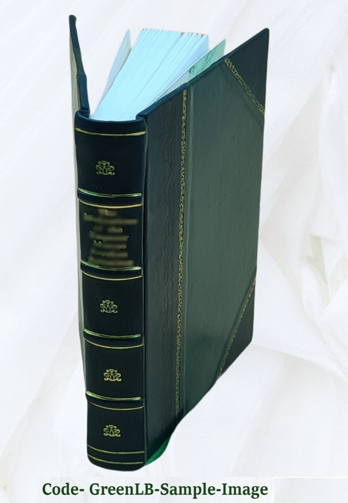 Leather Bound Book R824