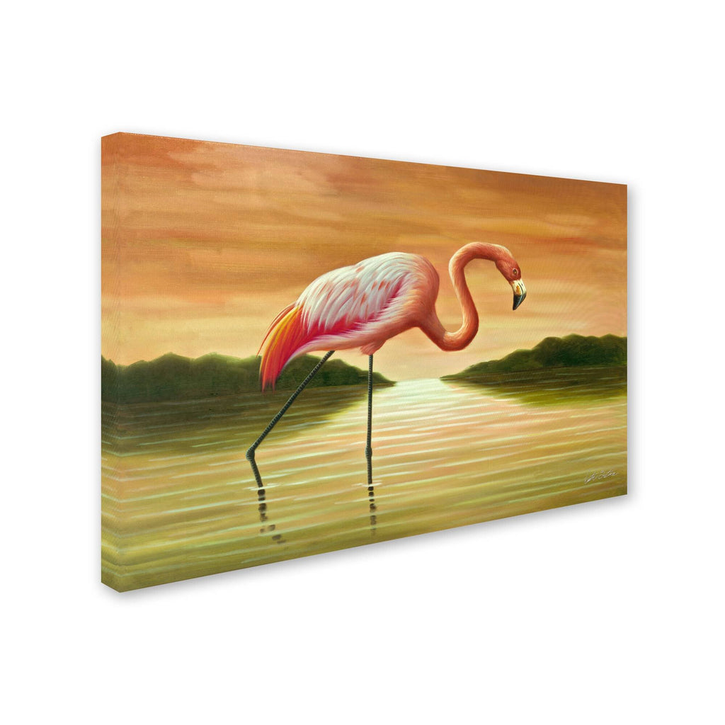 Pink Flamingo Canvas Art X227790