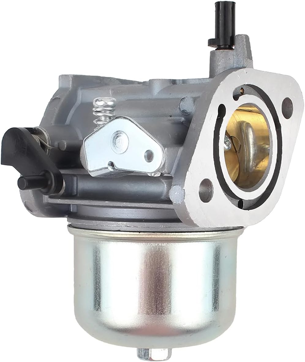 Carburetor with Fuel Filter and Gasket Pack of 2 G769