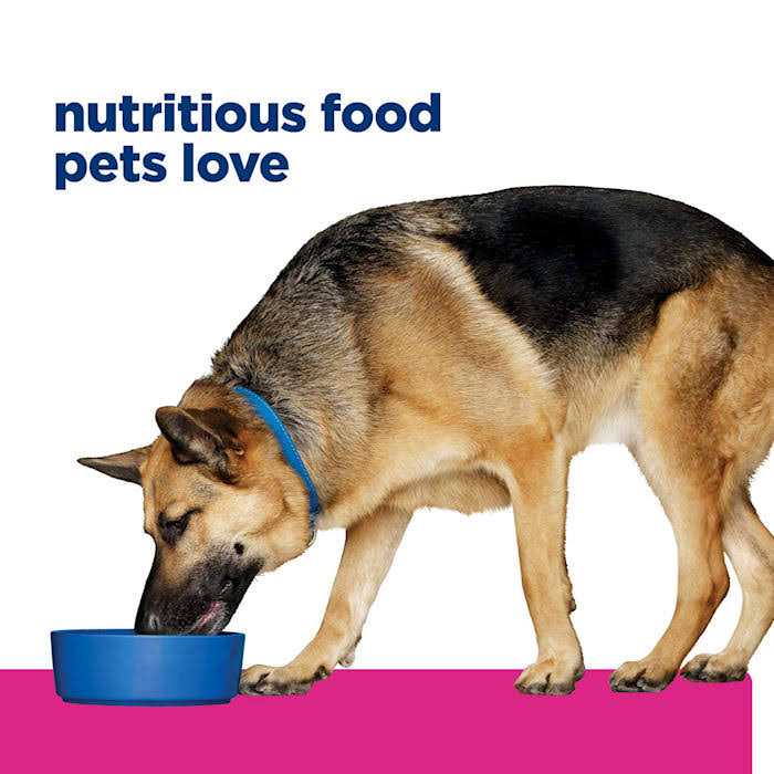 Chicken & Vegetable Stew Wet Dog Food S25756