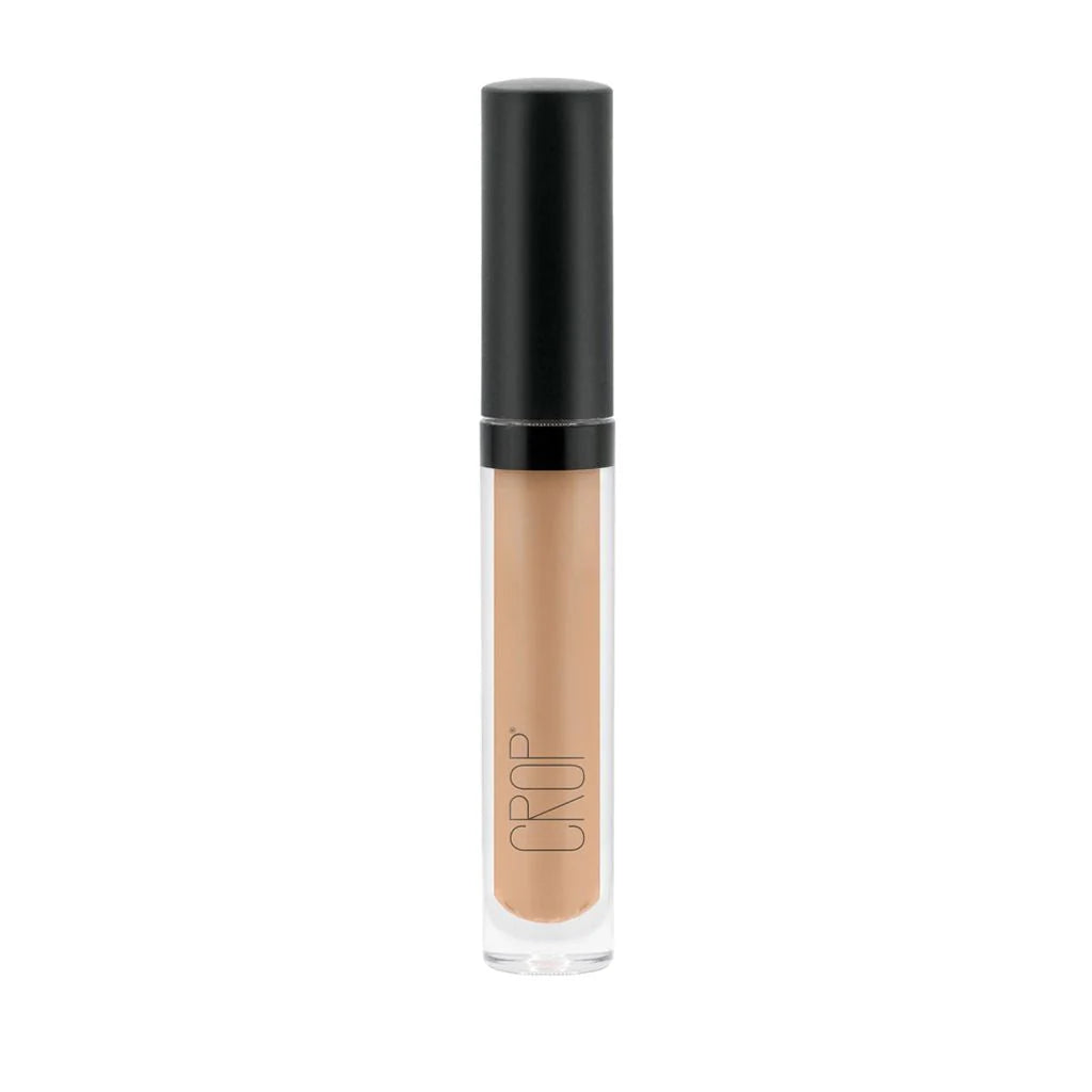 Beige Radiant Finish Concealer 2.5ml T213