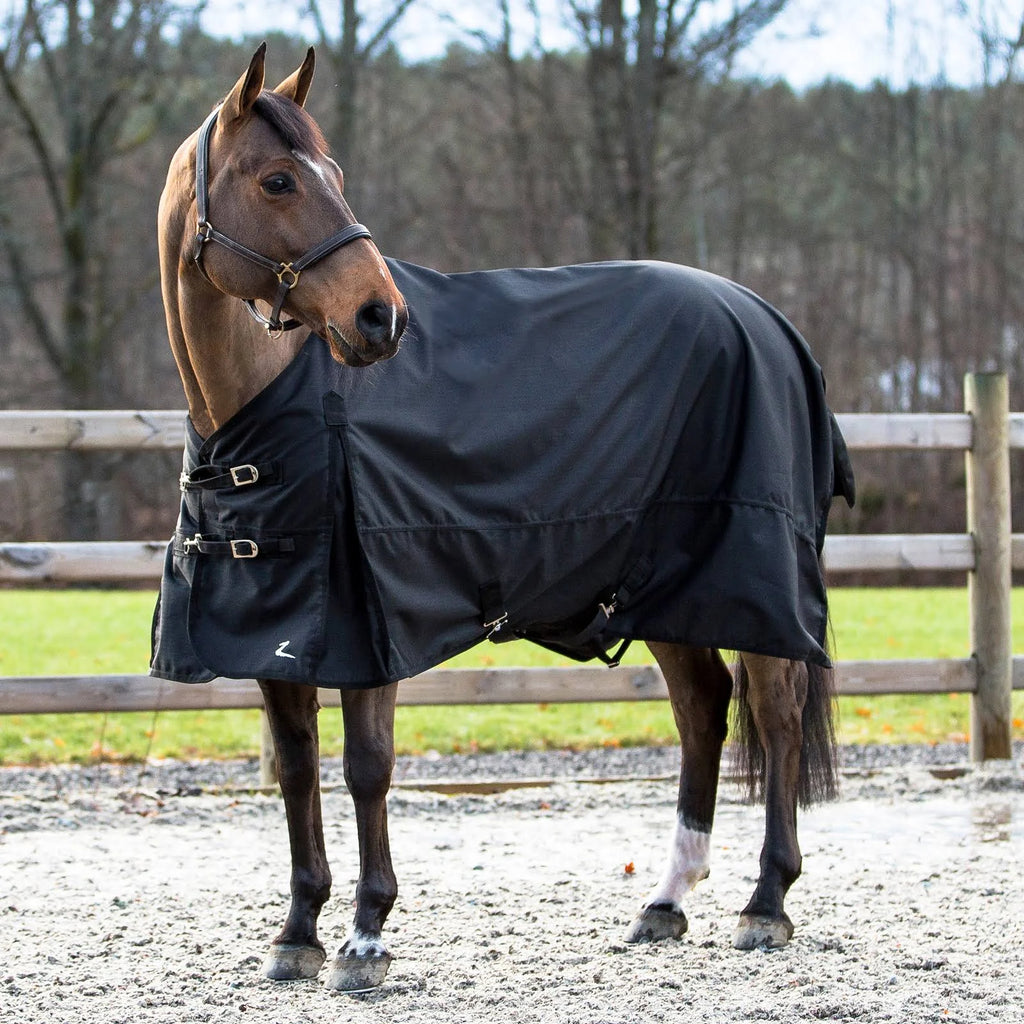 Black Lightweight Turnout Sheet Y421342