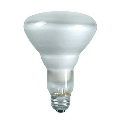 65W 130V BR30 Incandescent Light Bulb X84170