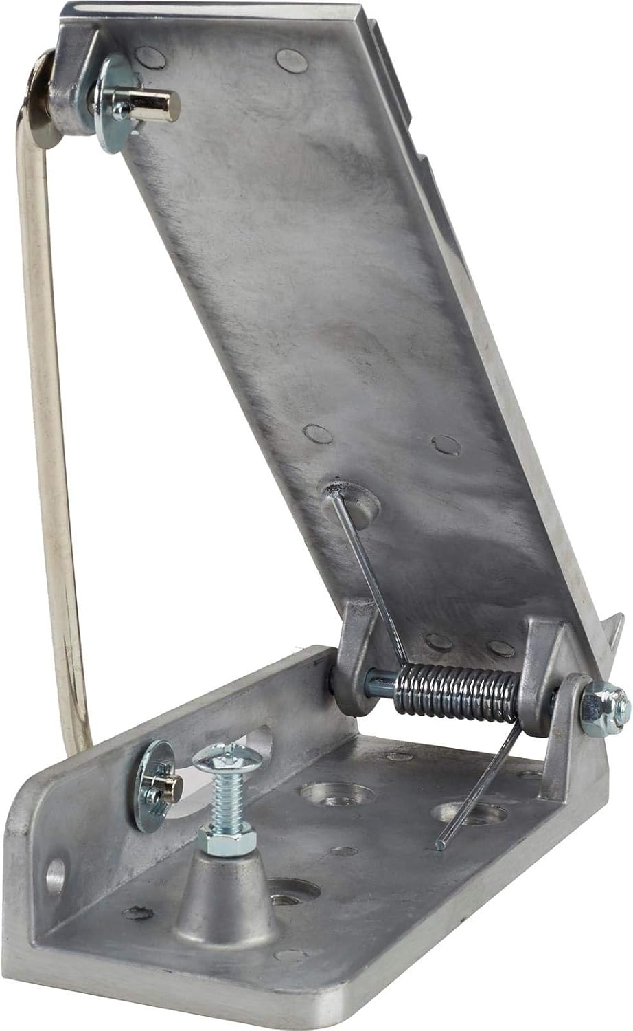 Cast Aluminum Throttle Pedal Assembly V589716