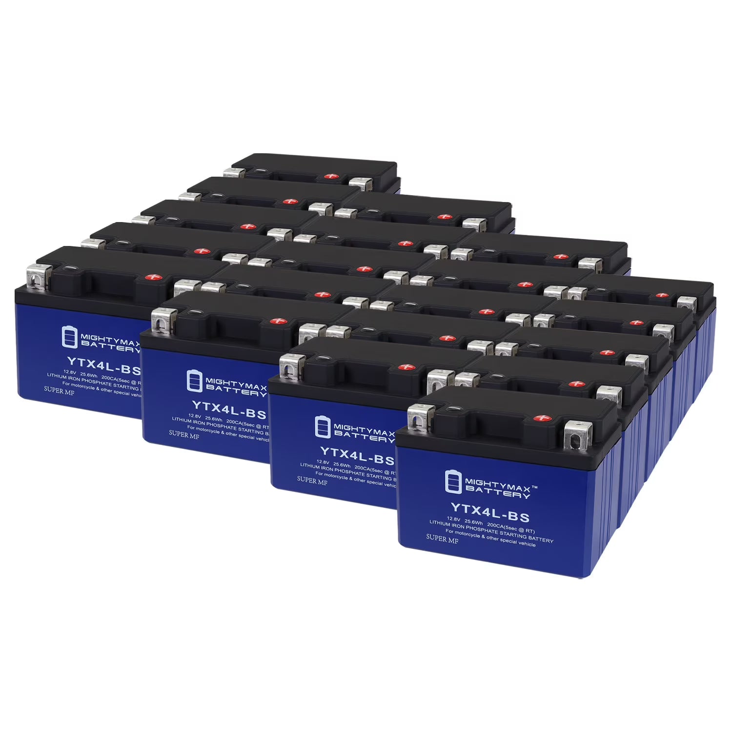 20 Pack Lithium Replacement Battery K306793
