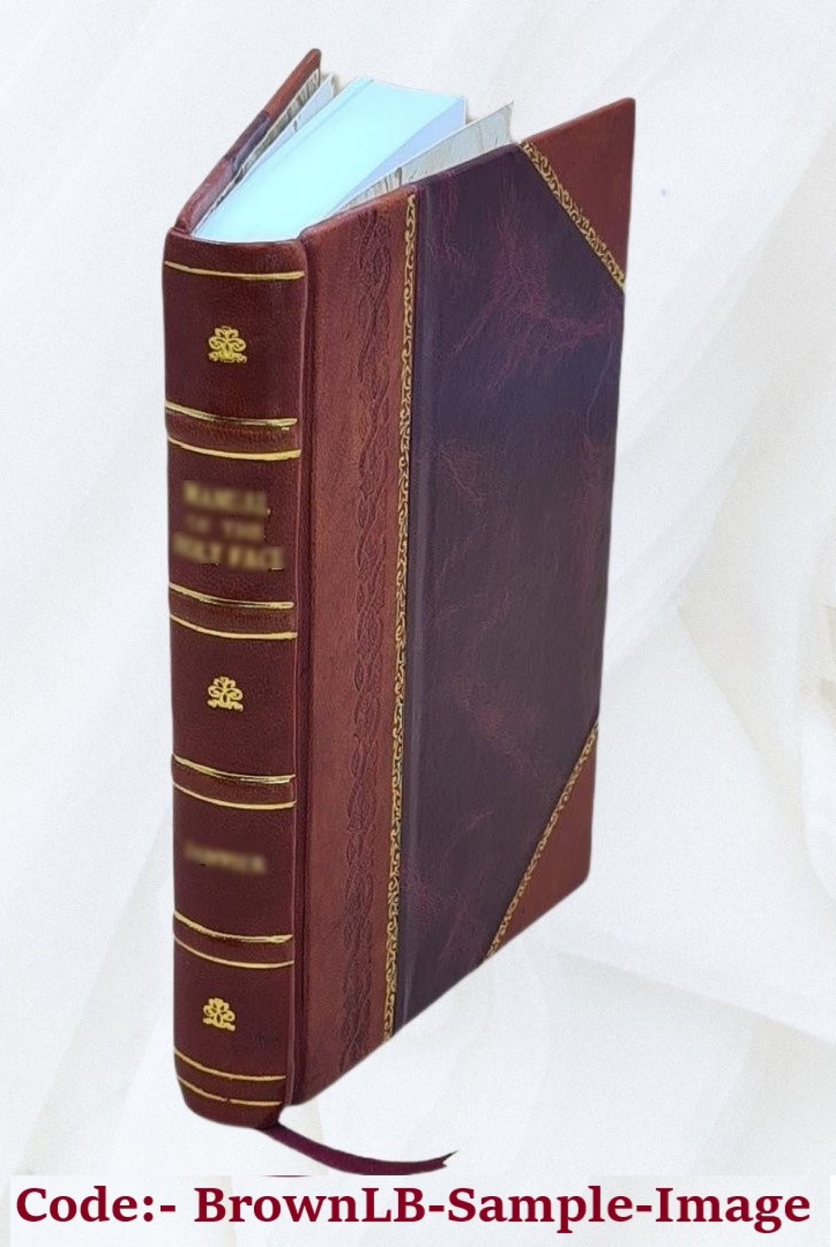 Leather Bound Book R824