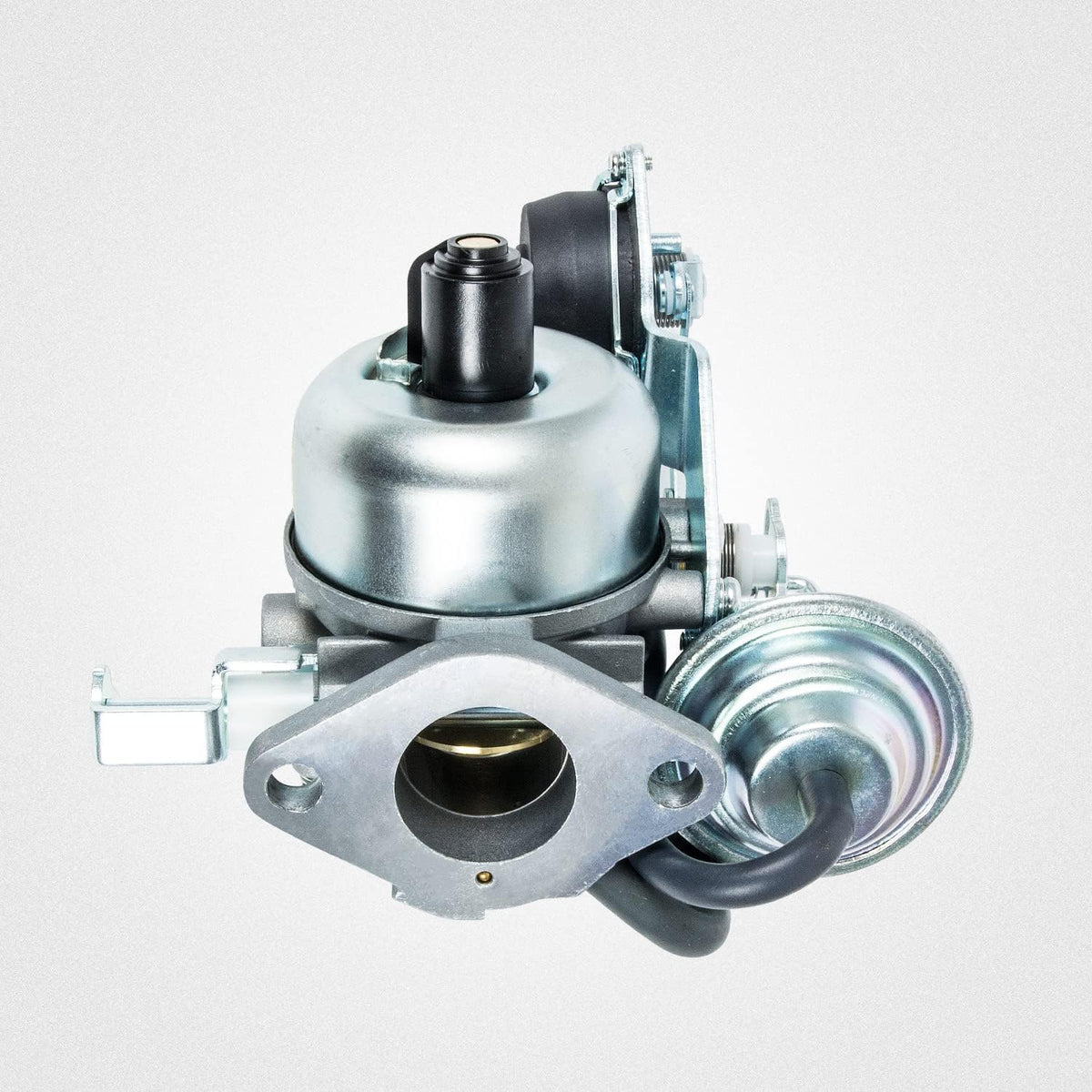 Carburetor with Gaskets Pack of 2 B798
