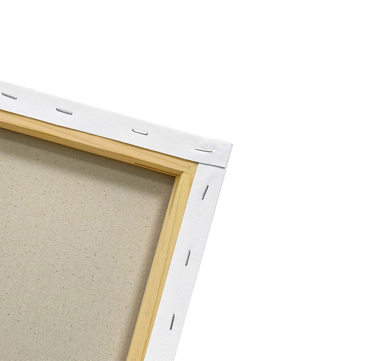 Decorative Canvas Wall Art V36755