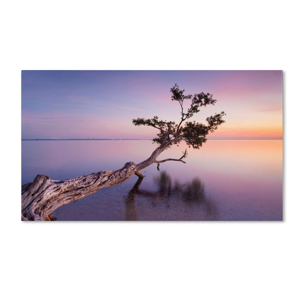 Canvas Art E39119