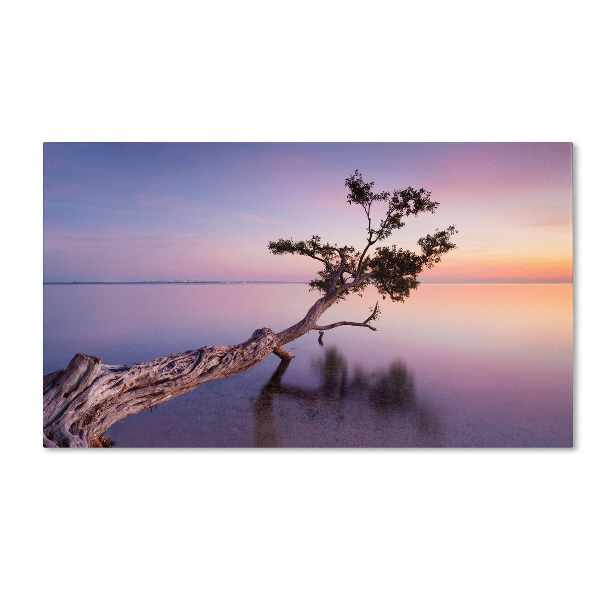 Canvas Art E39119