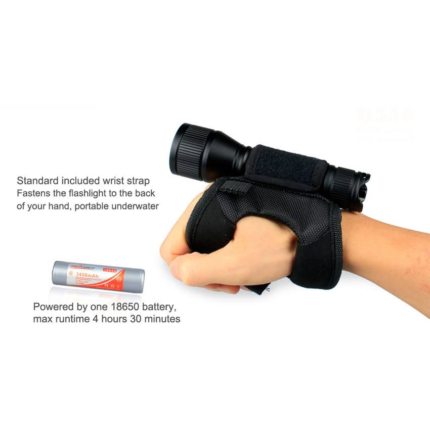 D550 Dive Light with Battery & Charger Kit M77486