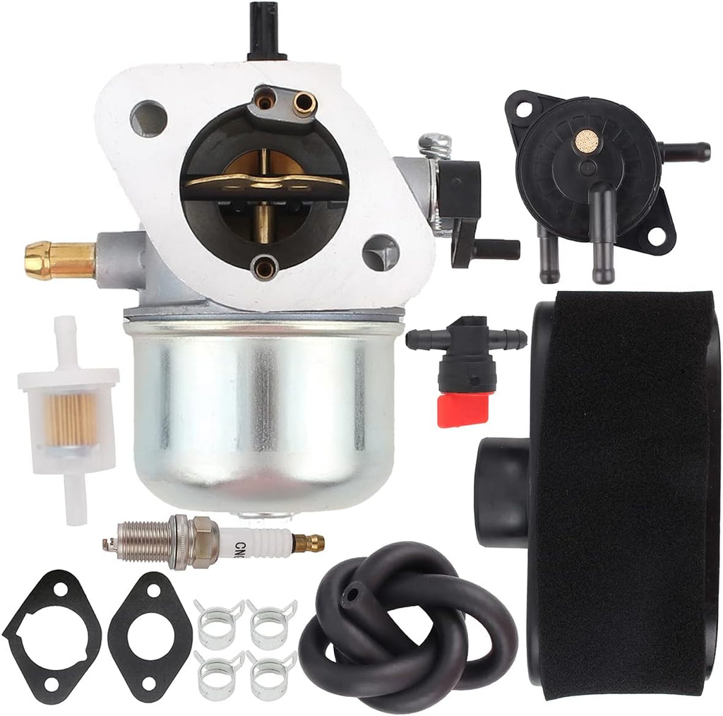 Carburetor with Fuel Filter and Gasket Pack of 2 G769