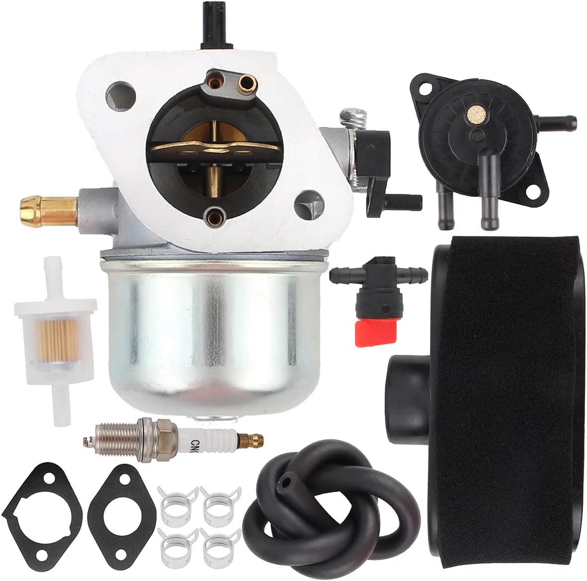 Carburetor with Fuel Filter and Gasket Pack of 2 G769