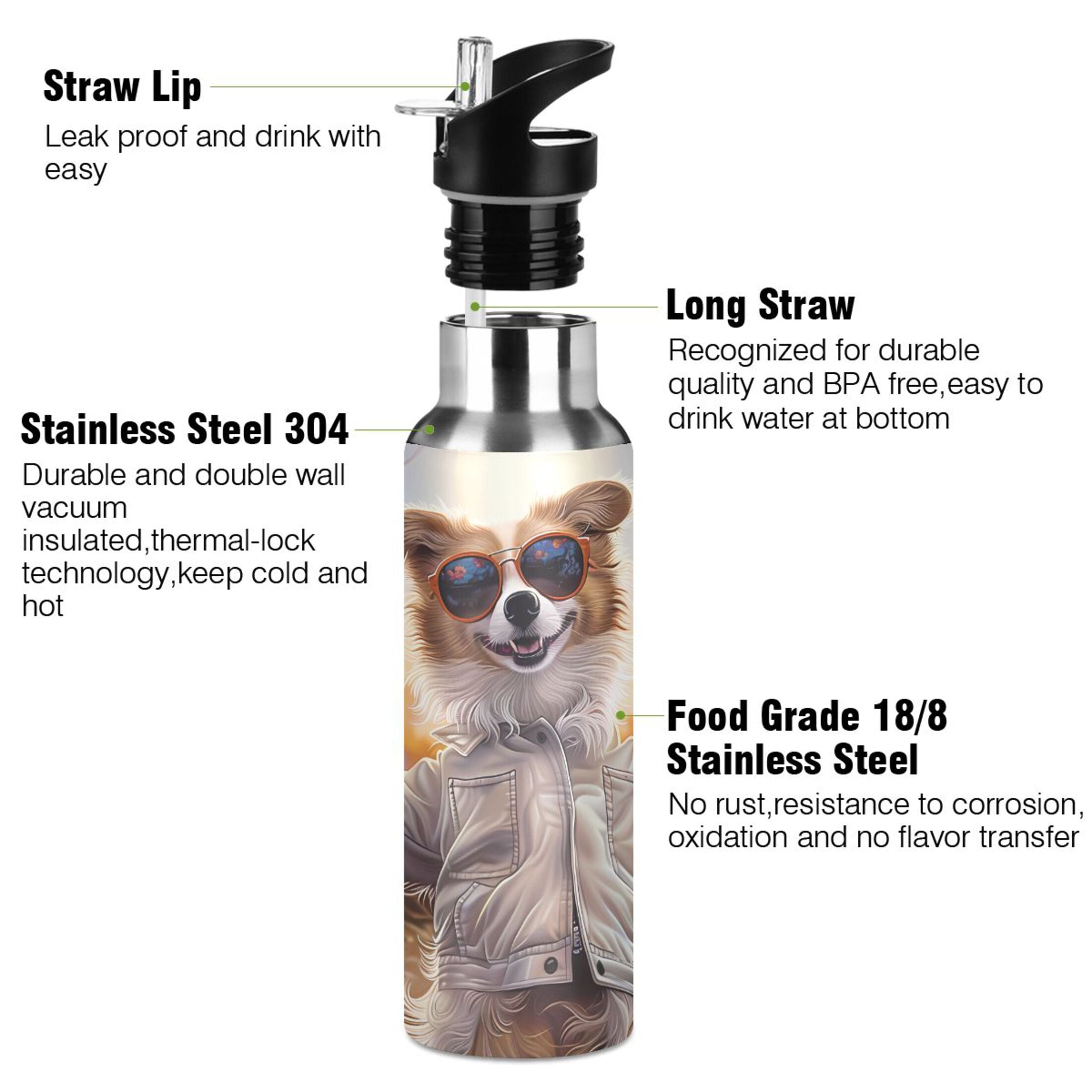 20 oz Insulated Stainless Steel Water Bottle with Straw Lid K998596