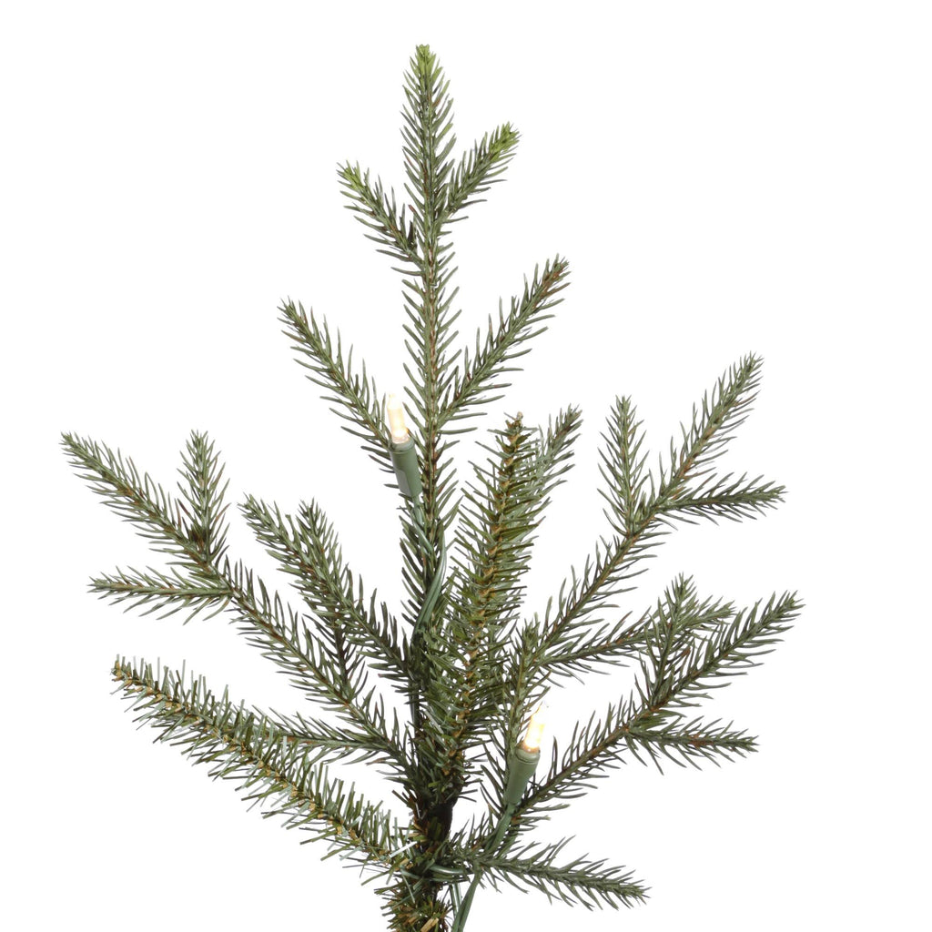 6.5 ft Itasca Frasier Tree with 600 Warm White LED Lights E887