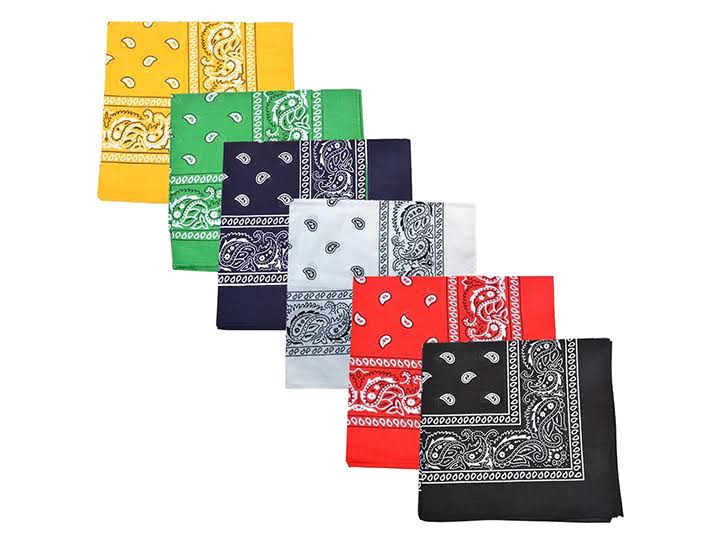 96 Pack 100% Polyester Paisley Bandanas (Hot Pink) T293