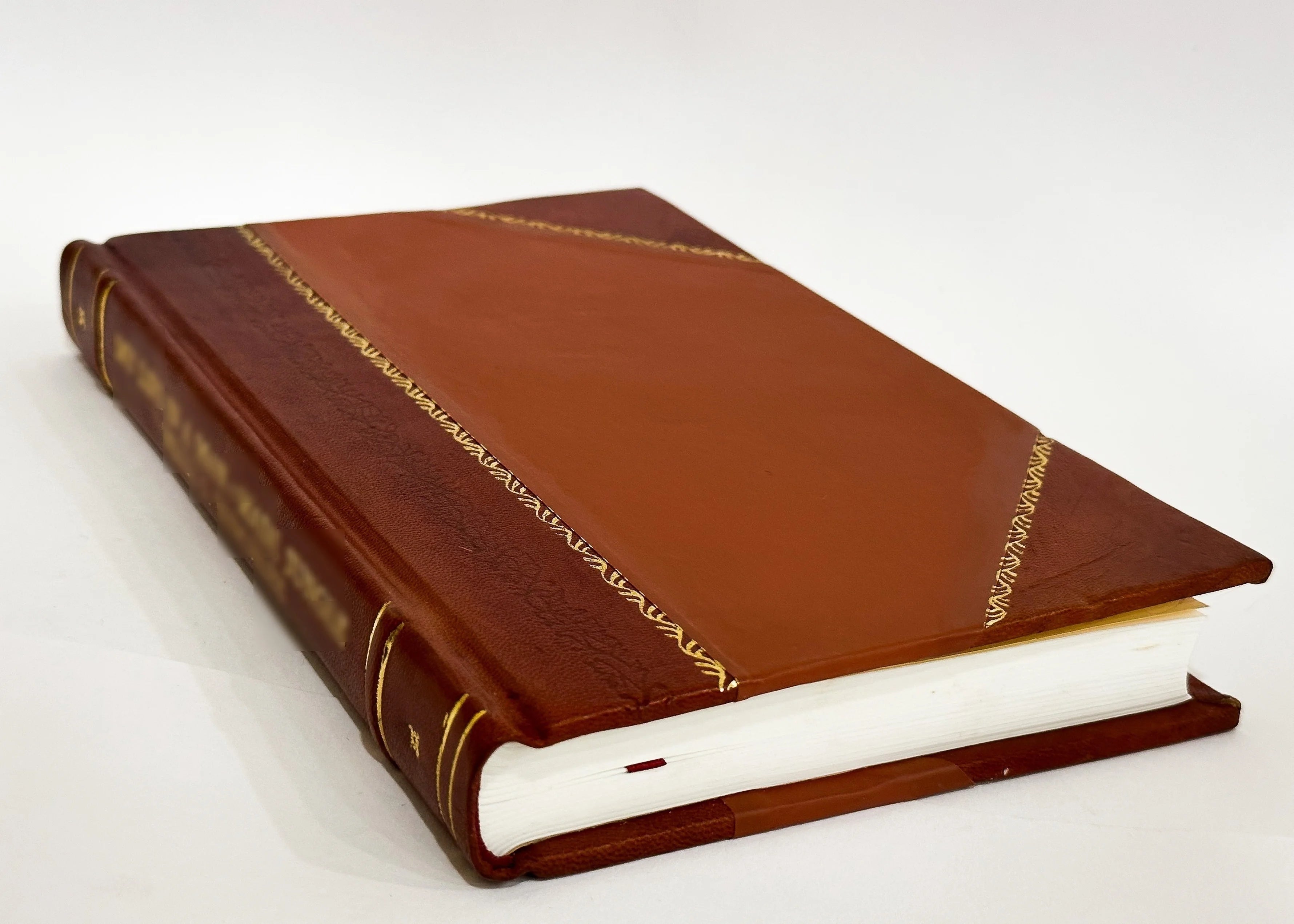 Leather Bound Book X1516