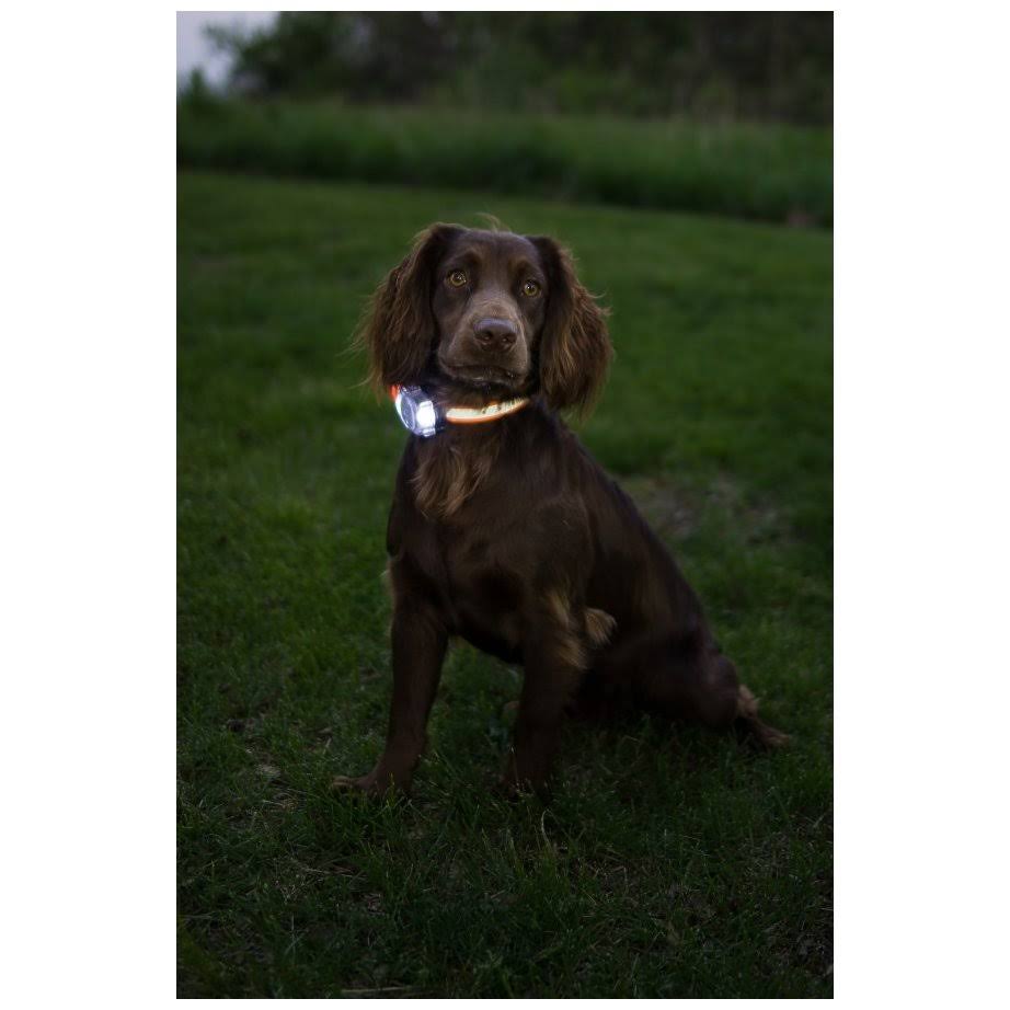 PetPal S.P.O.T. Trainer J976868