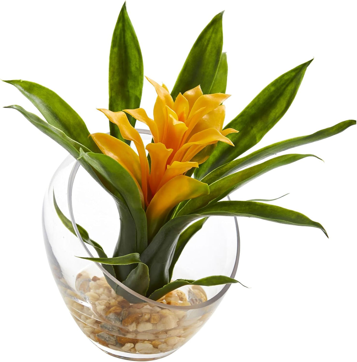 Tropical Bromeliad in Angled Vase P371717