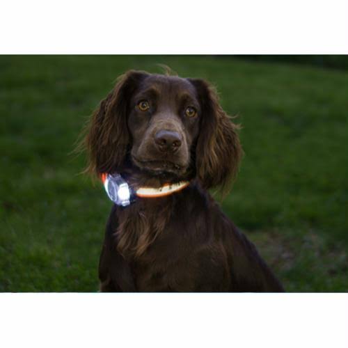 PetPal S.P.O.T. Trainer J976868