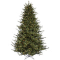 6.5 ft Itasca Frasier Tree with 600 Warm White LED Lights E887