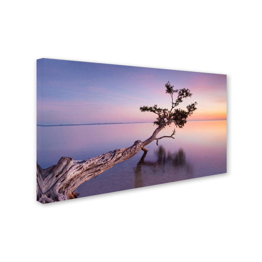Canvas Art E39119