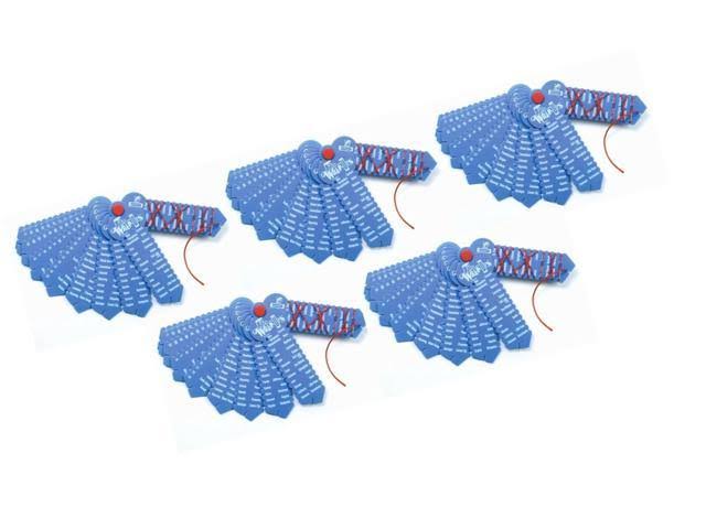 US States & Capitals Keys 5 Pack Y673886