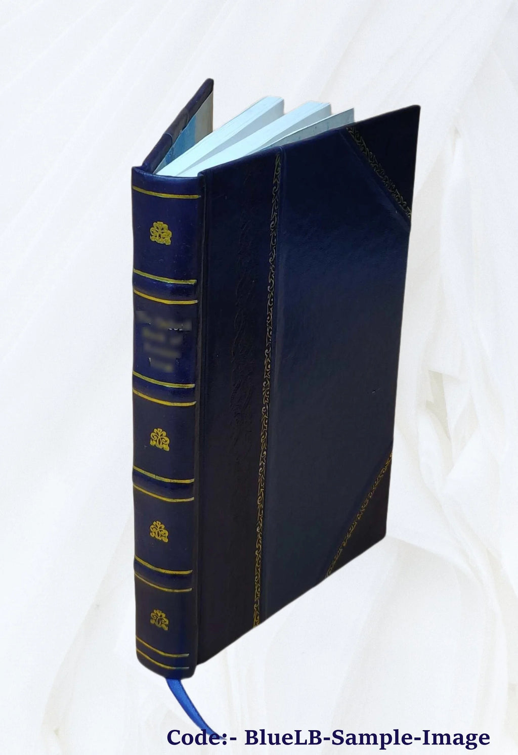 Leather Bound Book R824