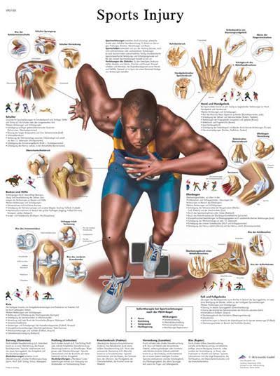 Anatomical Sticky Back Chart - Human Heart K9682