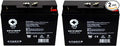 12V 18Ah Replacement Battery (2 Pack) P49829