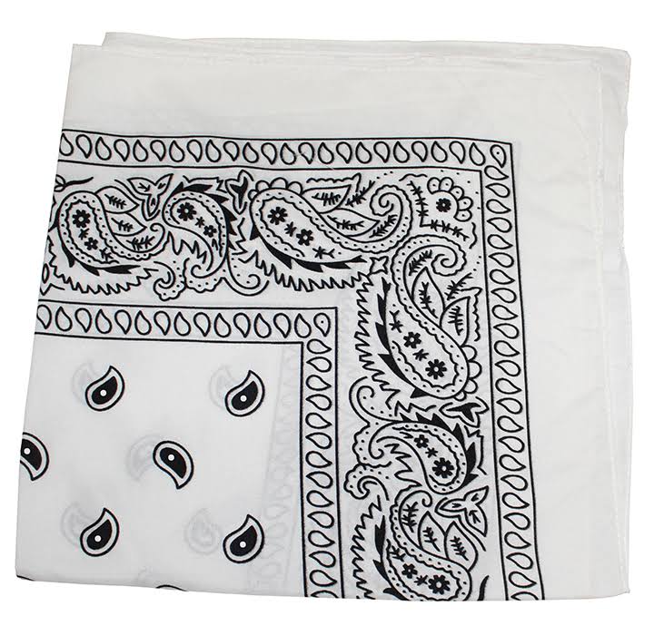 96 Pack 100% Polyester Paisley Bandanas (Hot Pink) T293
