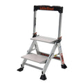 Silver 2-Step Ladder I175756