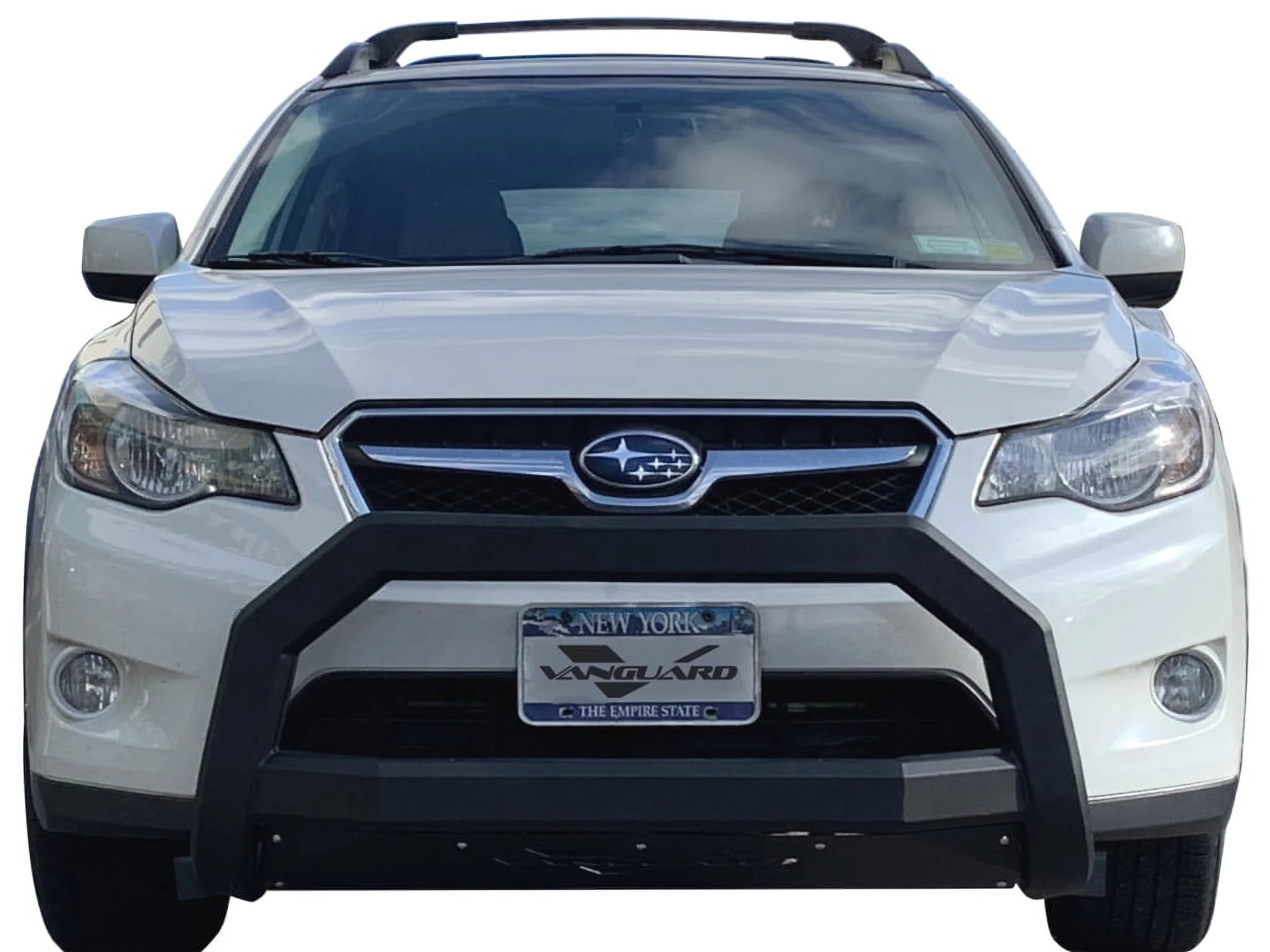 Black Powdercoat Bull Bar with 4.5in Round LED Kit R8066