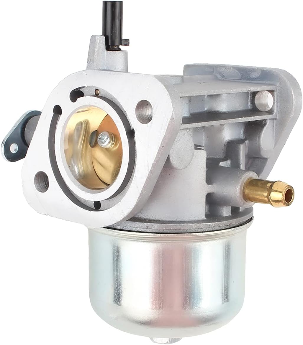 Carburetor with Fuel Filter and Gasket Pack of 2 G769