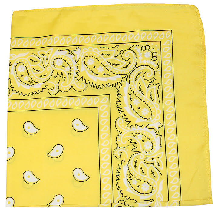 96 Pack 100% Polyester Paisley Bandanas (Hot Pink) T293