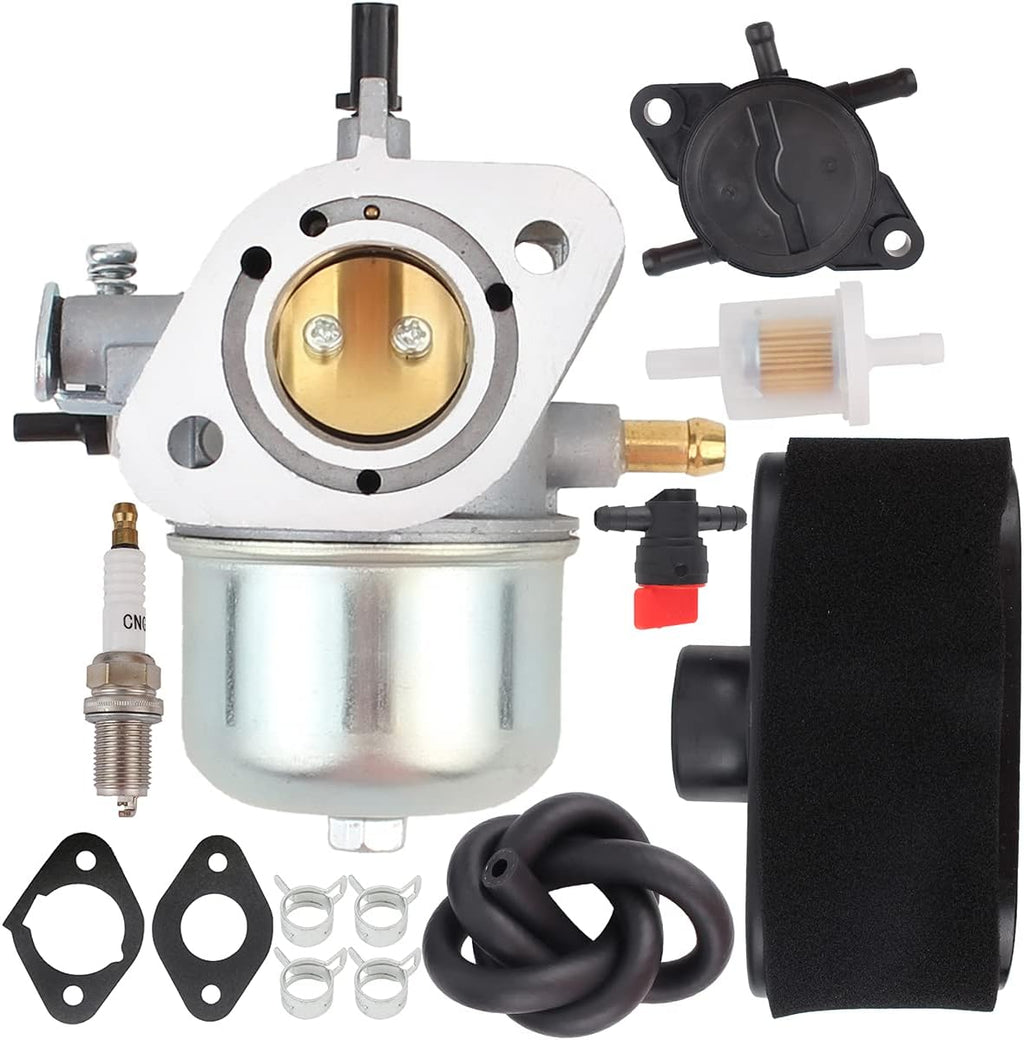Carburetor with Fuel Filter and Gasket Pack of 2 G769