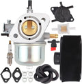 Carburetor with Fuel Filter and Gasket Pack of 2 G769