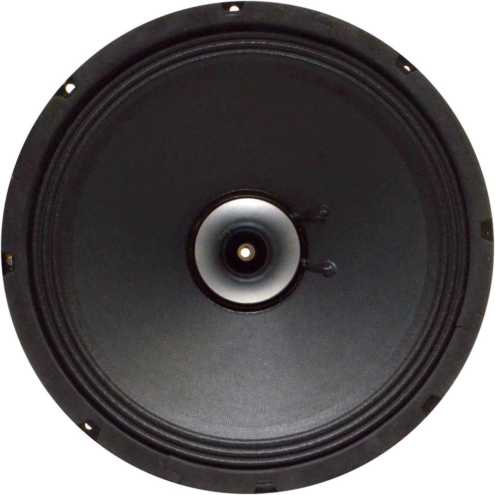 Pair of 10 Inch Coaxial Speakers 250 Watts RMS 8 Ohms G369