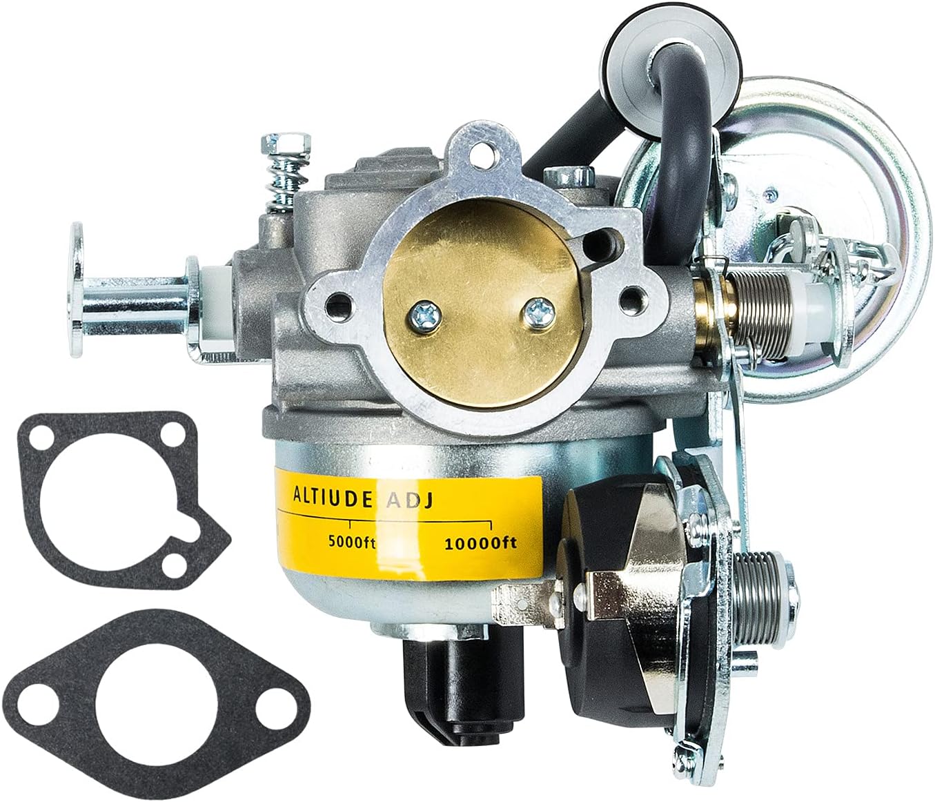 Carburetor with Gaskets Pack of 2 B798