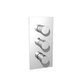 3/4x22 Thermostatic Valve with 2 Volume Controls and Trim Brushed Nickel C5731