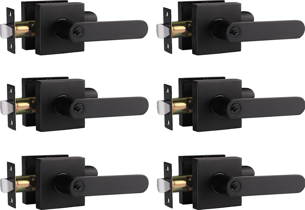 Matte Black Privacy Door Handle Lever, Pack of 6 M59741
