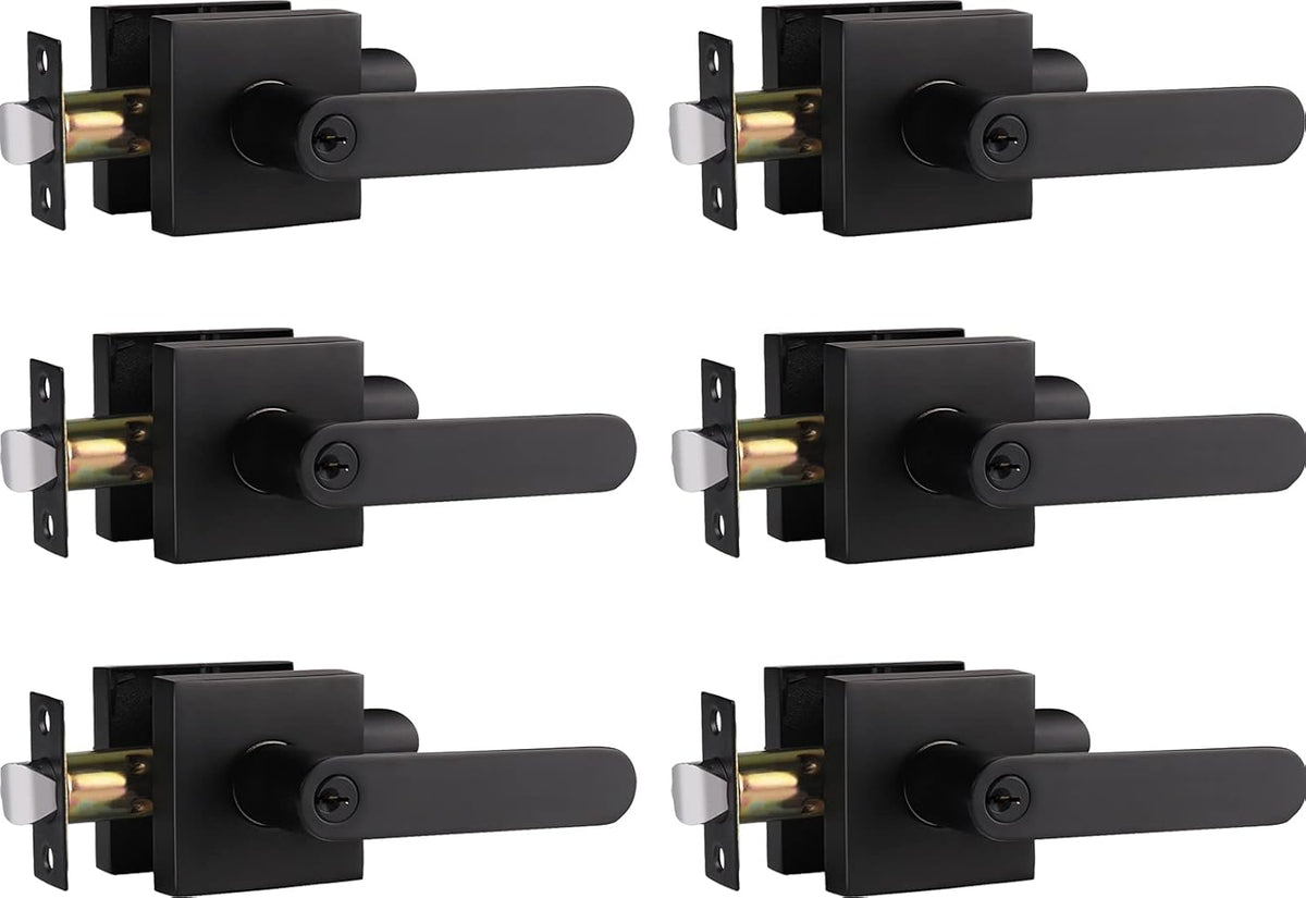 Matte Black Privacy Door Handle Lever, Pack of 6 M59741