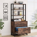 2 Drawer File Cabinet with Lock Bookshelf, Letter Size Printer Stand - Brown Y740566