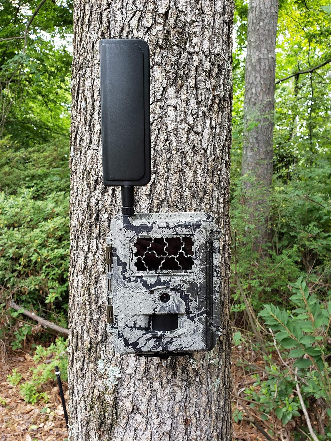 AT&T 4G LTE Wireless Trail Camera with Batteries, SD Card, Card Reader, and Mount Z664854