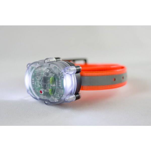 PetPal S.P.O.T. Trainer J976868