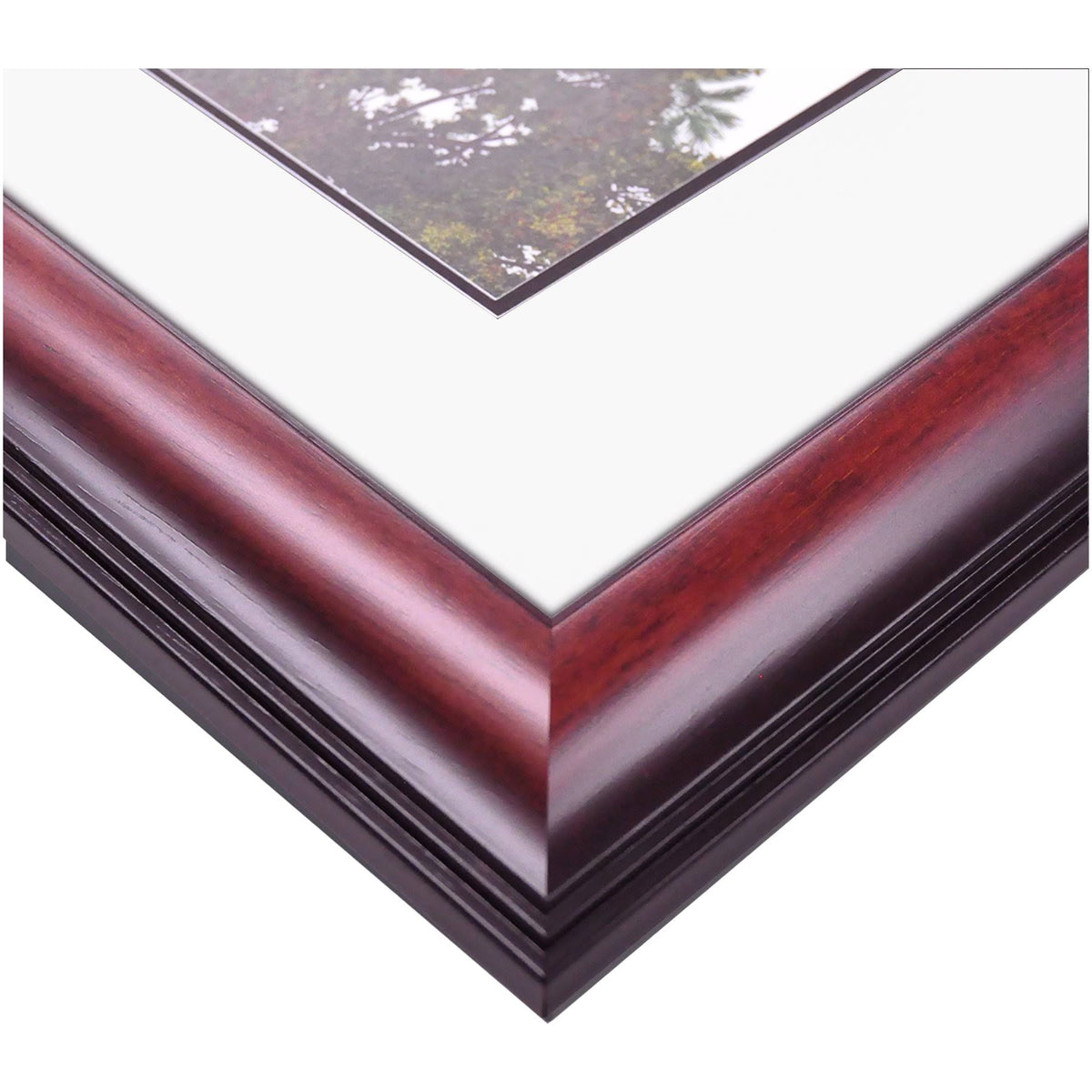 Diploma Frame R95507