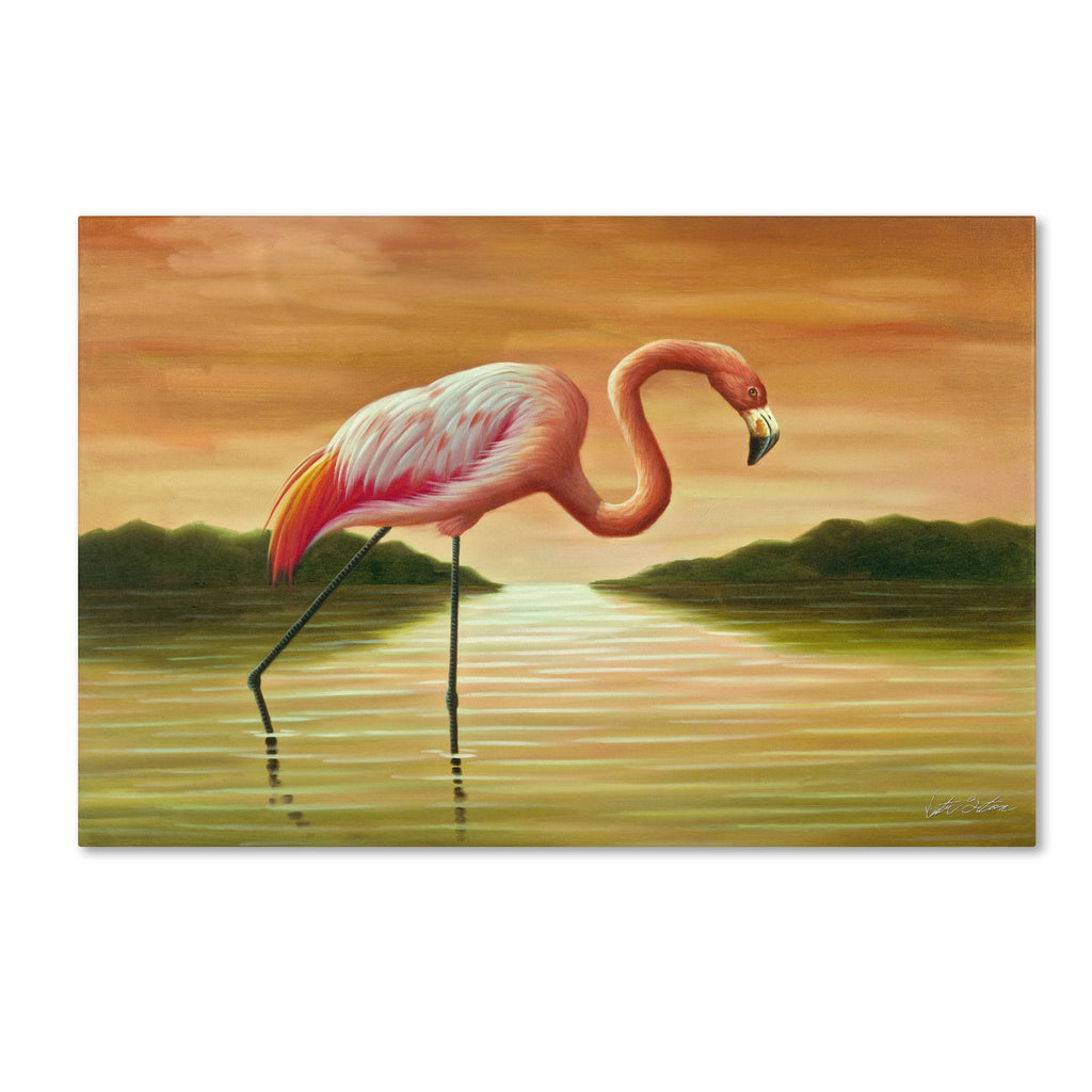 Pink Flamingo Canvas Art X227790
