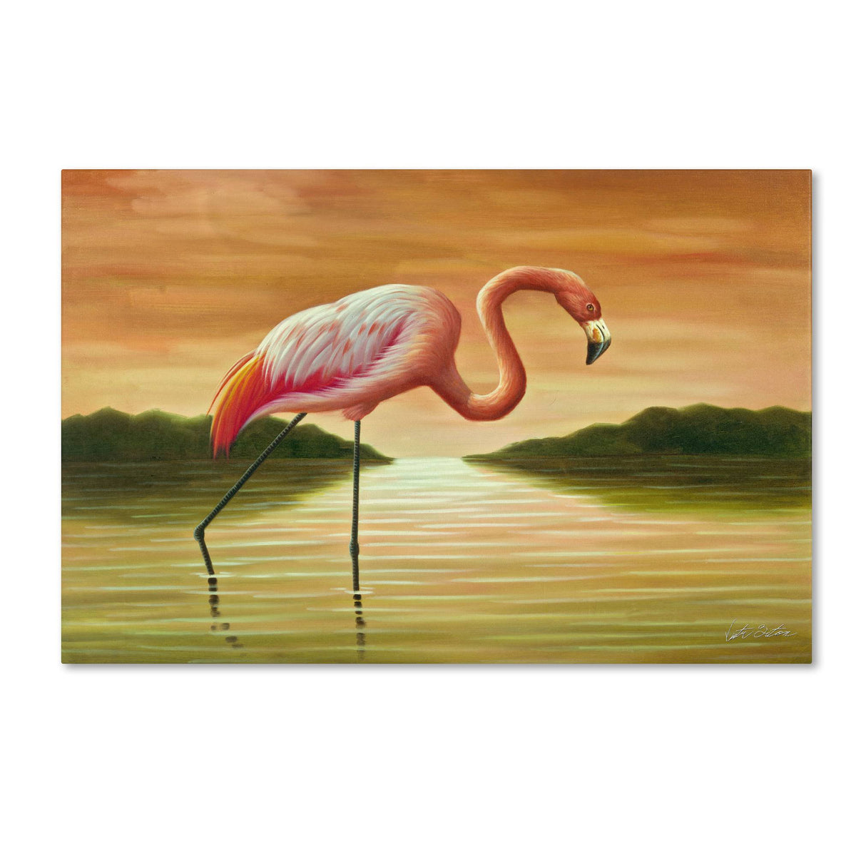 Pink Flamingo Canvas Art X227790