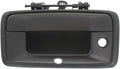 Tailgate Handle for Chevy Silverado 1500 2014 2015 Primed Plastic & Metal Pack of 2 G626113